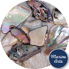 Craft Pack - Tumbled Abalone - Pebbles